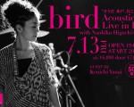 flyer: bird Acoustic Live